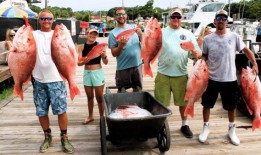 选举的事情，谁不会买BSC：阿拉巴马州