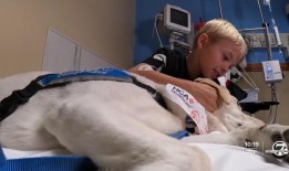 小偷抢劫了一辆停在高地牧场学校里的车，车上有一个9岁的男孩