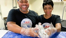 来看看亨茨维尔这对提供正宗费城芝士牛排的夫妇吧