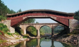 泰顺论坛：寻找都市中的宁静，体验最质朴的田园生活