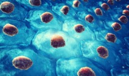 基因工程干细胞可能彻底改变帕金森病的治疗