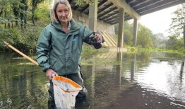 英国广播公司发现，有毒的道路径流没有受到监控