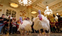 拜登将以白宫感恩节传统庆祝81岁生日