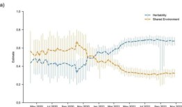 调查人员探索哪些因素会增加对COVID-19的易感性