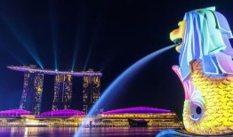 新加坡一家供应印度食品的公司在店内发现蟑螂后被罚款