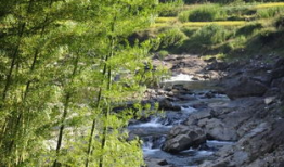 泰顺论坛：寻找都市中的宁静，体验最质朴的田园生活