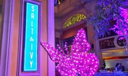 Beau Rivage的新盐和常春藤餐厅将拉斯维加斯的味道带到墨西哥湾沿岸