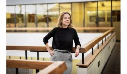 问答：生育率、寨卡病毒、COVID-19、气候条件、城市化和不平等的交集