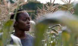 评论：这个奇特的鬼故事一点也不像你典型的恐怖惊悚片