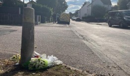 31岁的男子因在斯塔福德郡袭击XL霸凌犬而被起诉