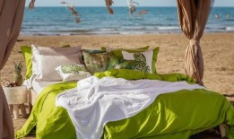 最好的绿色被子